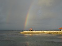 DSC00222