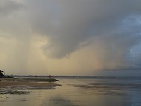 DSC00226