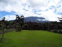 DSC00241