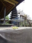 DSC00266