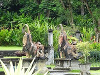 DSC00302
