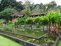 DSC00305