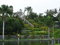 DSC00333