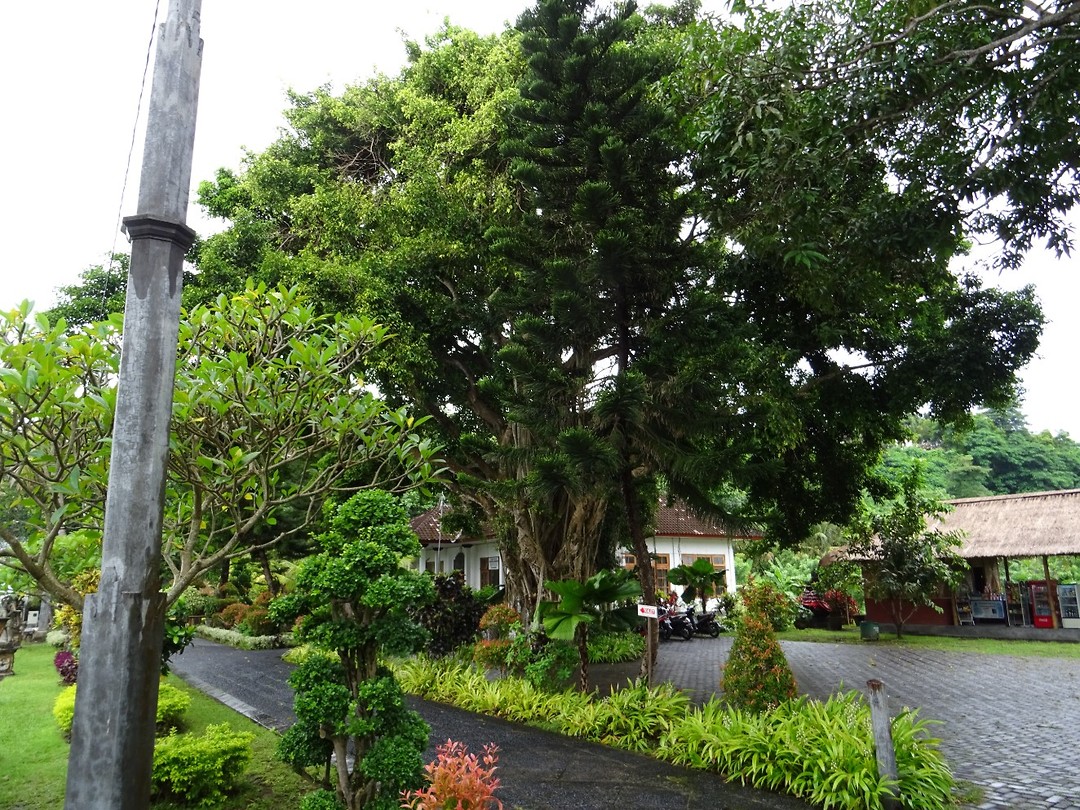 DSC00350