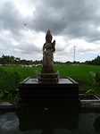 DSC00369