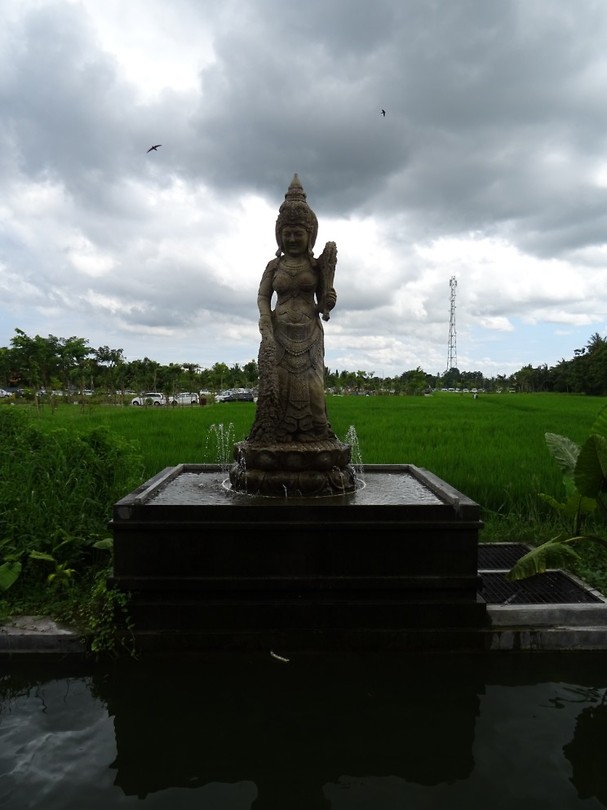 DSC00369