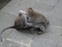 DSC00380