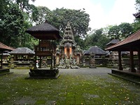 DSC00389