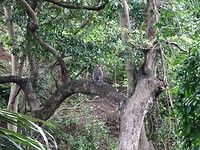 DSC00394