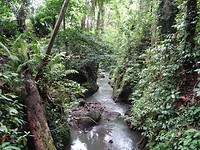 DSC00396
