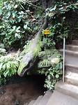 DSC00400