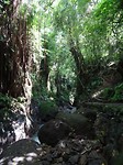 DSC00408