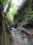 DSC00411