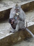 DSC00424