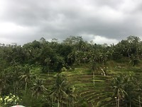 8E81F885-532E-4F0C-A0E1-7CA22B27E28B