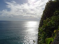 DSC00454