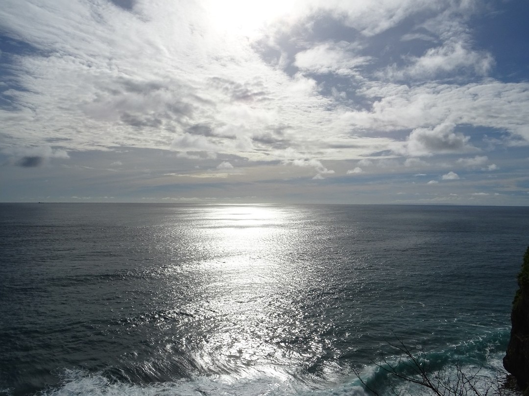 DSC00456