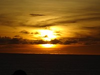 DSC00510