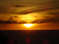 DSC00514
