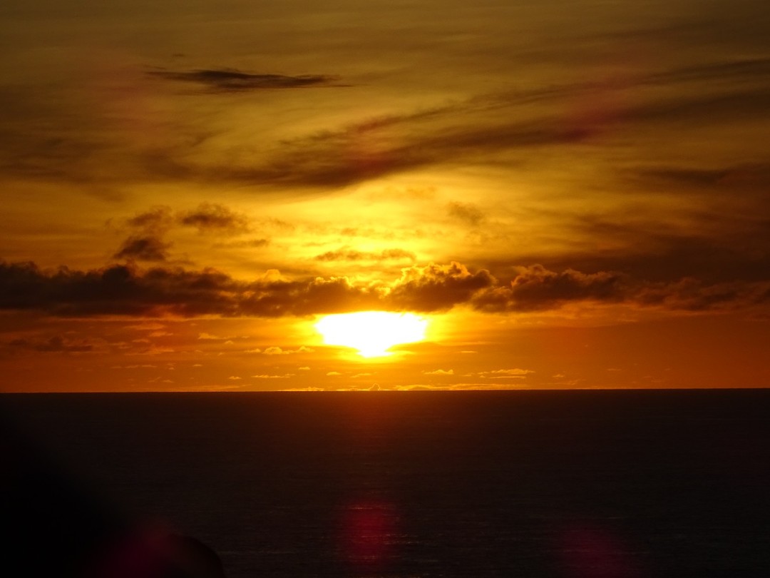 DSC00514