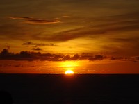DSC00520