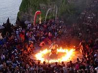 DSC00528
