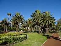 DSC00546