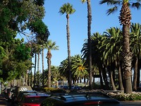 DSC00549