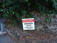 DSC00570