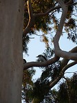 DSC00579