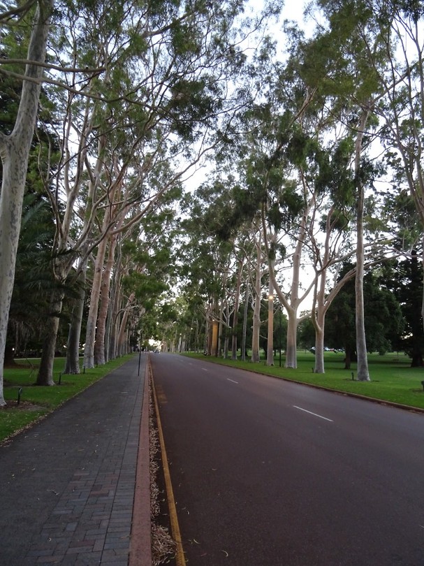 DSC00584