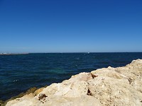DSC00602