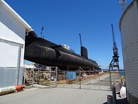 DSC00603