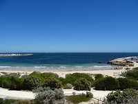 DSC00626