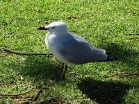 DSC00646