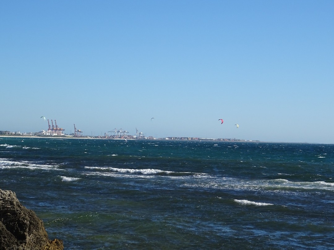 DSC00650