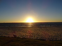 DSC00653