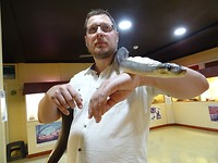DSC00740