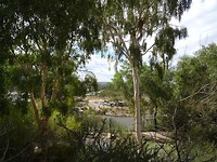 DSC00773