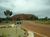 DSC00803