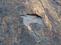 DSC00900