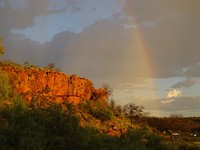 DSC00959