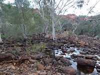 DSC00985