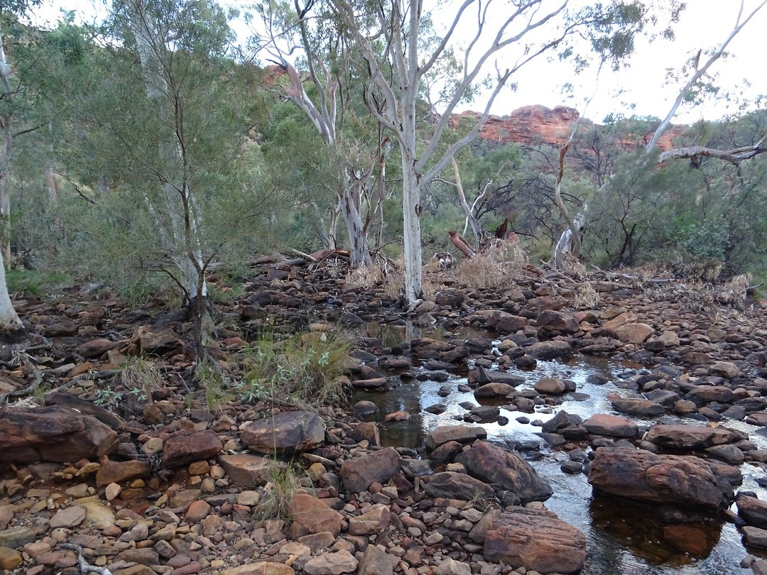 DSC00985