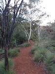 DSC00988