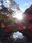 DSC00993