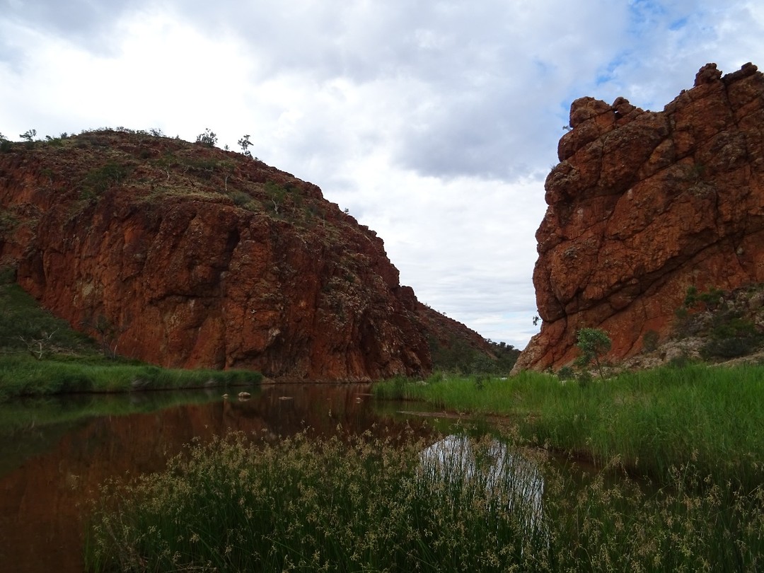 DSC00996