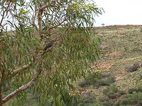 DSC01002