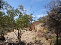 DSC01009
