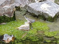 DSC01057